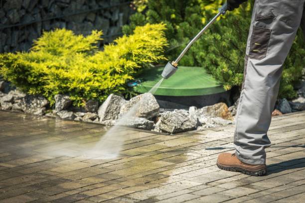 Professional  Pressure Washing Services in Dillon, CO